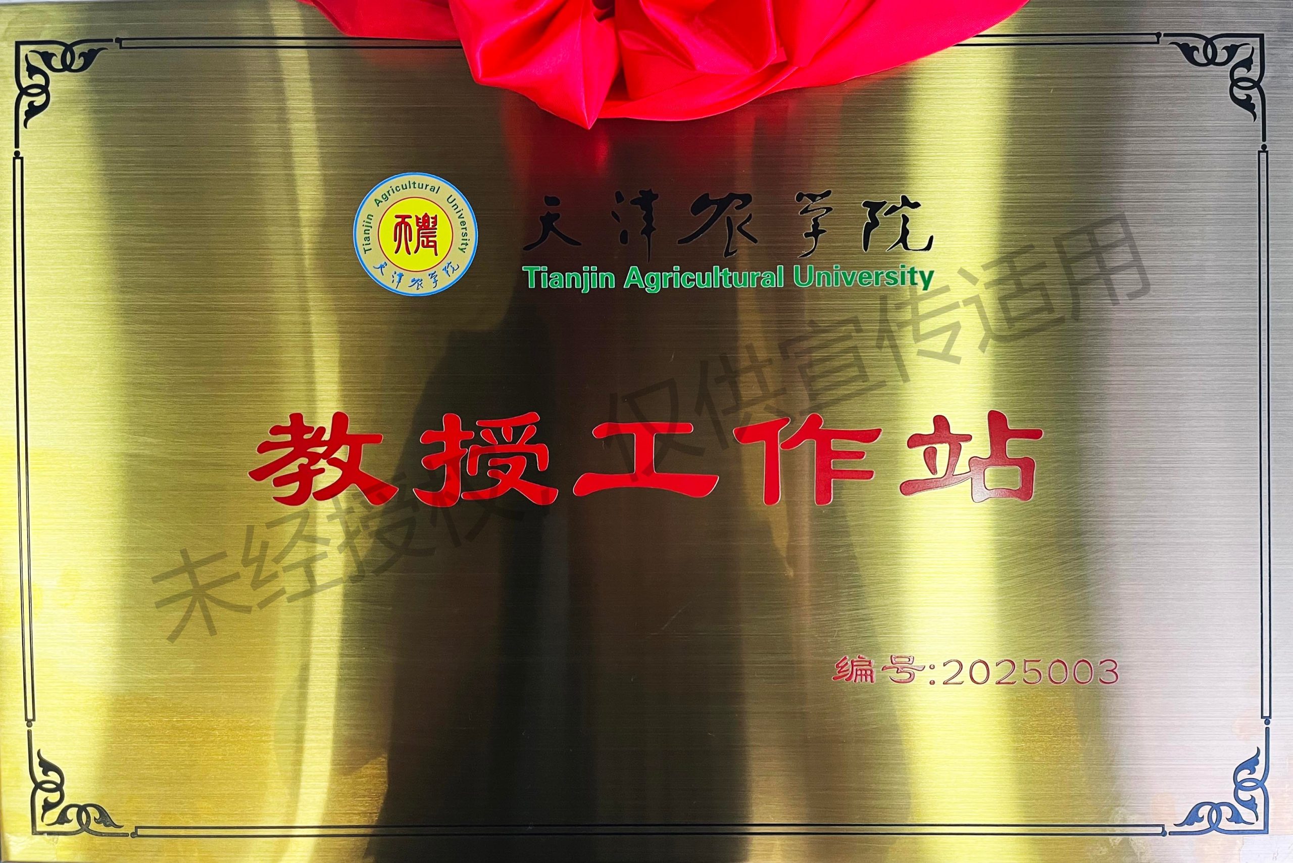 农学院教授工作站