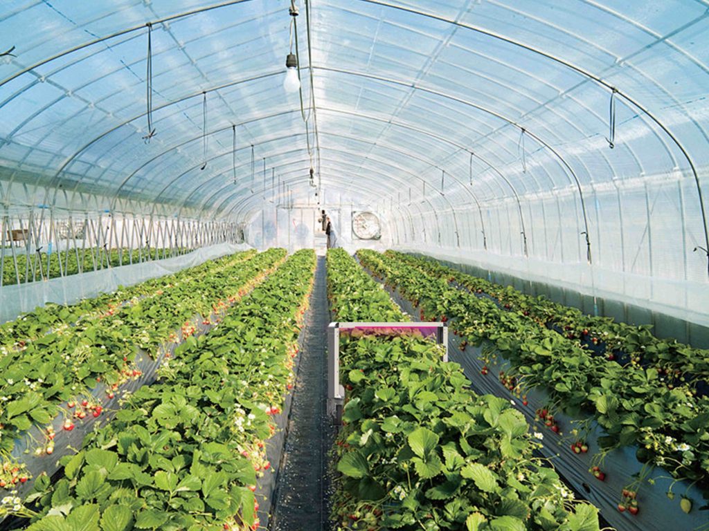 紫外杀虫机器人