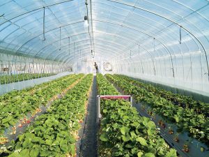 紫外杀虫机器人