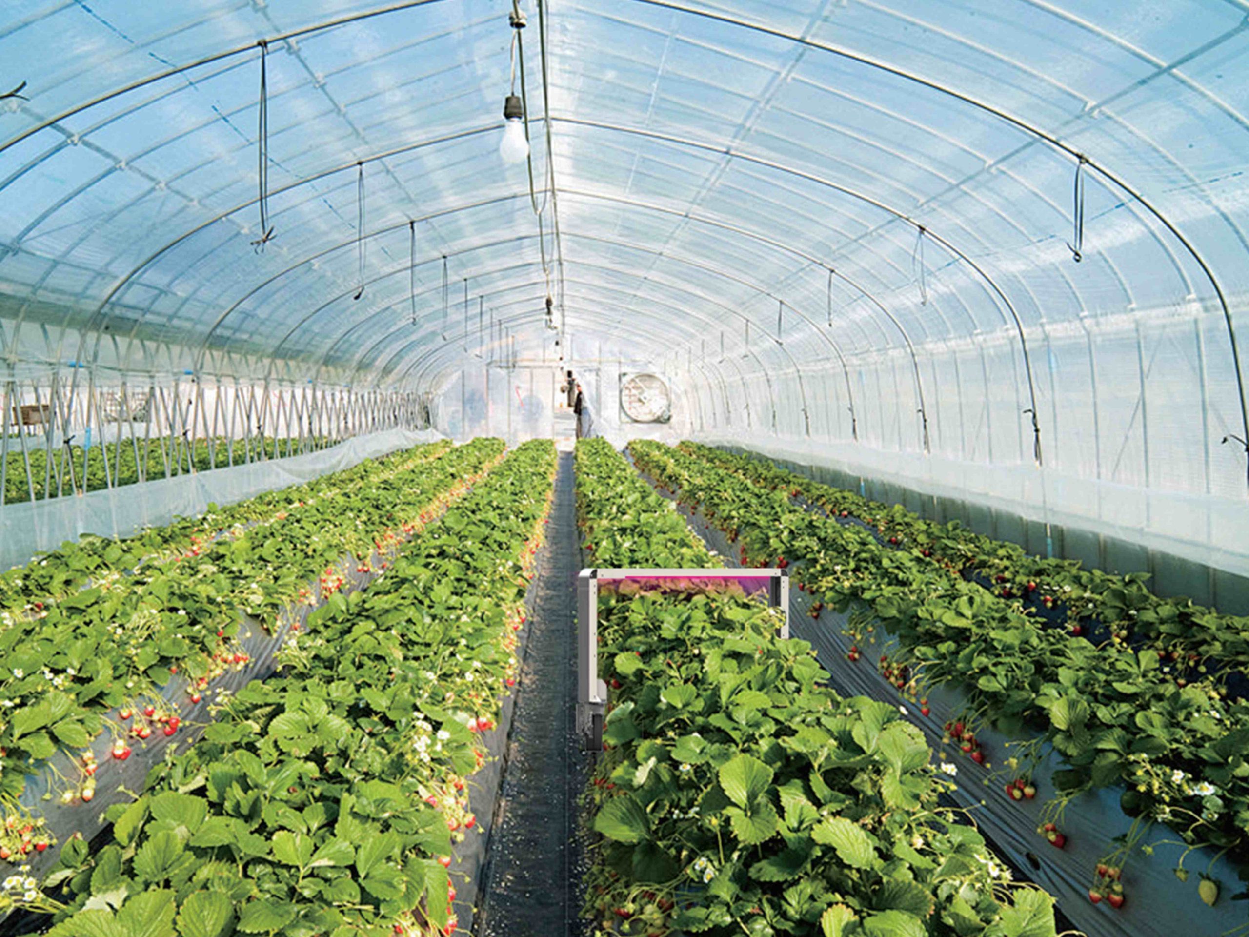 紫外杀虫机器人